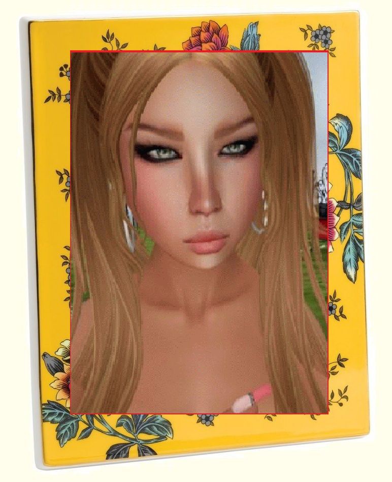 Frames' by Janis' FACEinHOLE